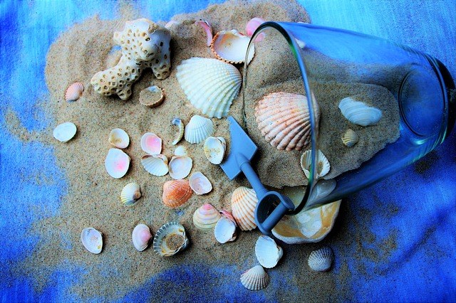 oceano blu vacanze conchiglie  by  Pasja1000 on pixabay