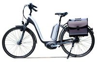 Incentivi per l'acquisto di biciclette a pedalata assistita